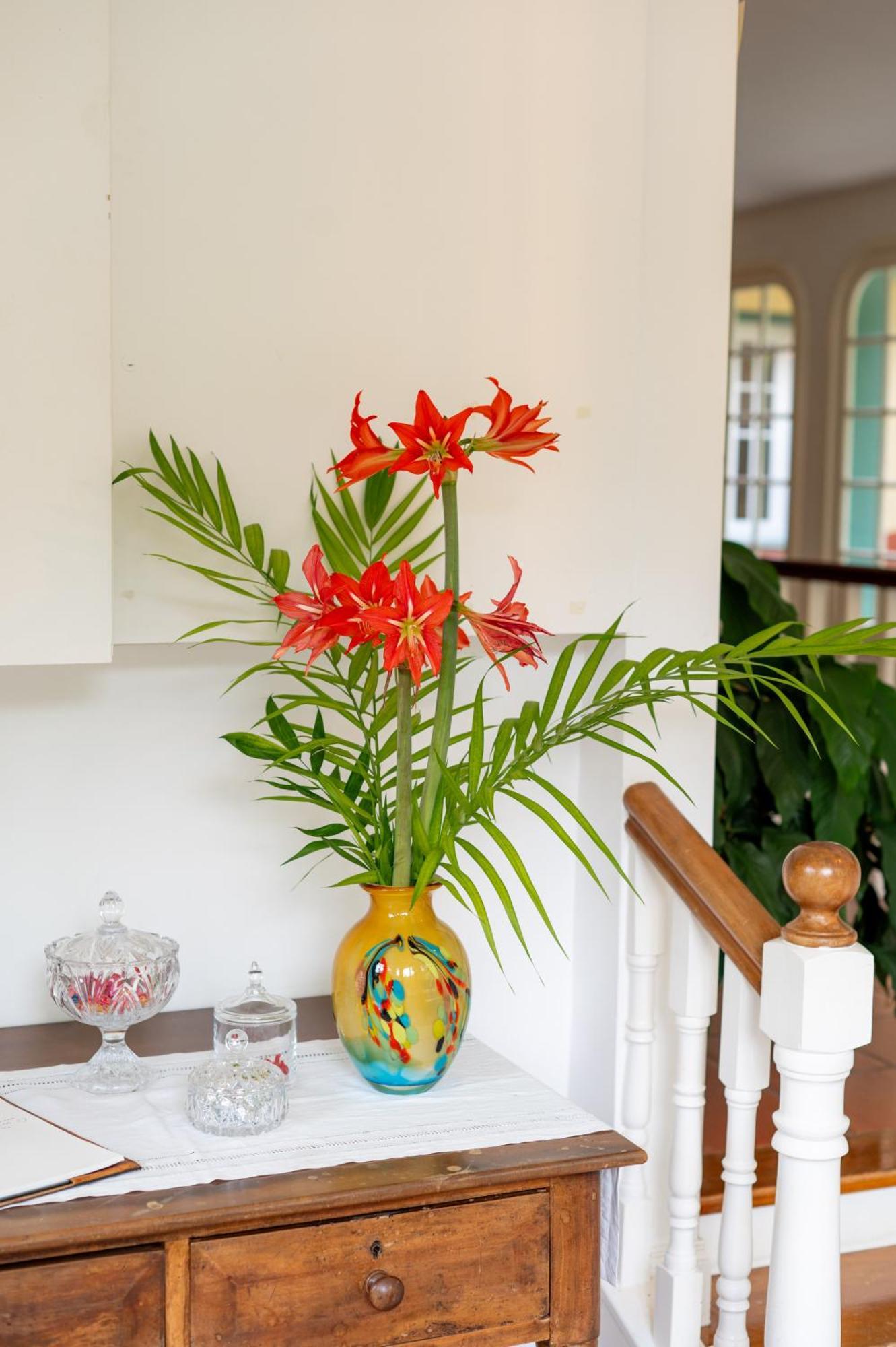 Casa Da Piedade Hotell São Vicente Exteriör bild